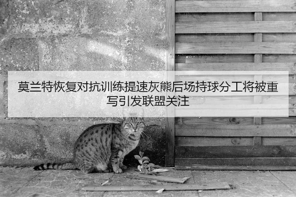 莫兰特恢复对抗训练提速灰熊后场持球分工将被重写引发联盟关注