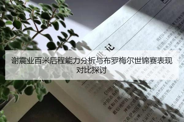 xie-zhen-ye-bai-mi-hou-cheng-neng-li-fen-xi-yu-bu-luo-mei-er-shi-jin-sai-biao-xian-dui-bi-tan-tao-1-258.jpg