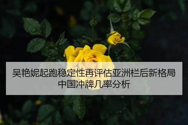 吴艳妮起跑稳定性再评估亚洲栏后新格局中国冲牌几率分析
