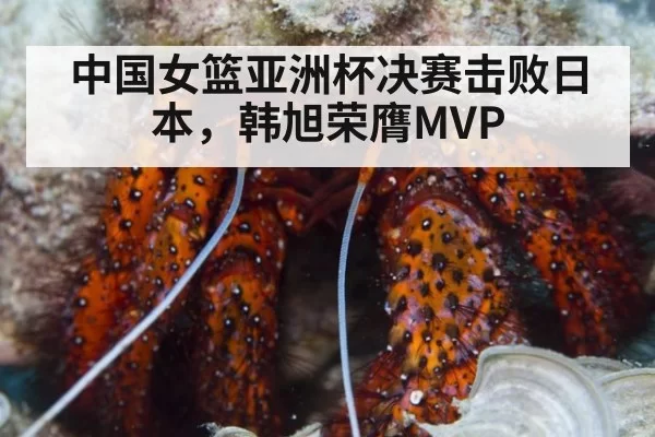 中国女篮亚洲杯决赛击败日本,韩旭荣膺MVP