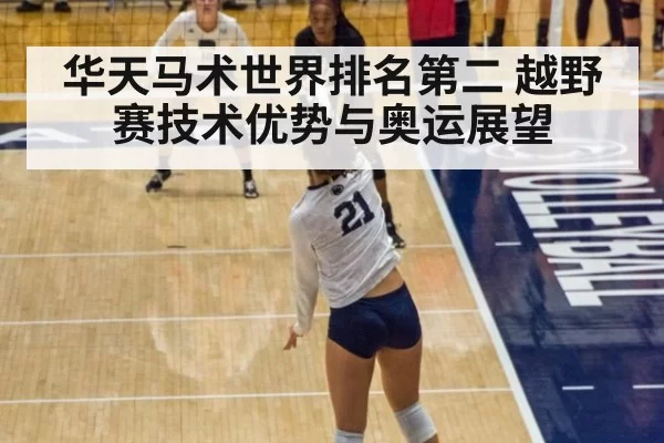 华天马术世界排名第二 越野赛技术优势与奥运展望